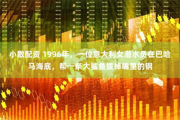 小散配资 1996年，一位意大利女潜水员在巴哈马海底，帮一条大鲨鱼拔掉嘴里的钢