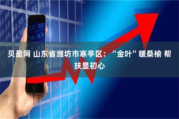贝盈网 山东省潍坊市寒亭区：“金叶”暖桑榆 帮扶显初心