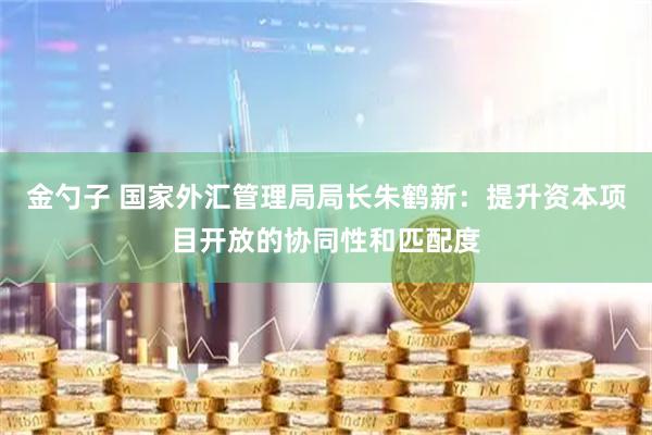 金勺子 国家外汇管理局局长朱鹤新：提升资本项目开放的协同性和匹配度