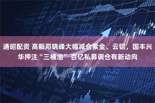 通昭配资 高毅邓晓峰大幅减仓紫金、云铝，国丰兴华押注“三桶油” 百亿私募调仓有新动向