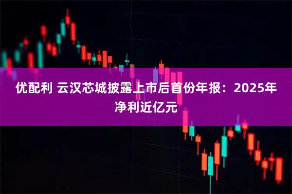 优配利 云汉芯城披露上市后首份年报：2025年净利近亿元