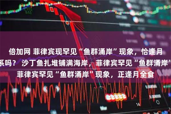 倍加网 菲律宾现罕见“鱼群涌岸”现象，恰逢月全食，这两者有联系吗？ 沙丁鱼扎堆铺满海岸，菲律宾罕见“鱼群涌岸”现象，正逢月全食