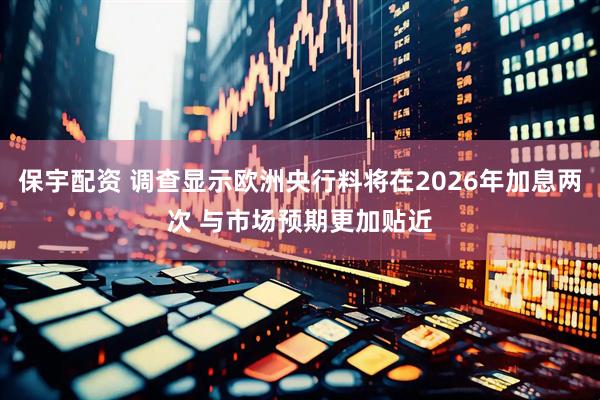 保宇配资 调查显示欧洲央行料将在2026年加息两次 与市场预期更加贴近