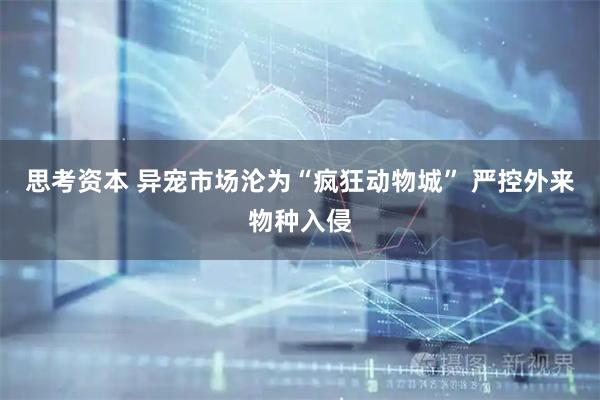 思考资本 异宠市场沦为“疯狂动物城” 严控外来物种入侵